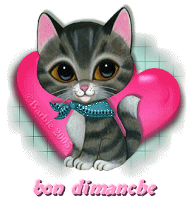 Gif animé Bon dimanche chat